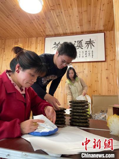 資料圖：杜贏(左二)在整理白茶餅?！×执阂?攝